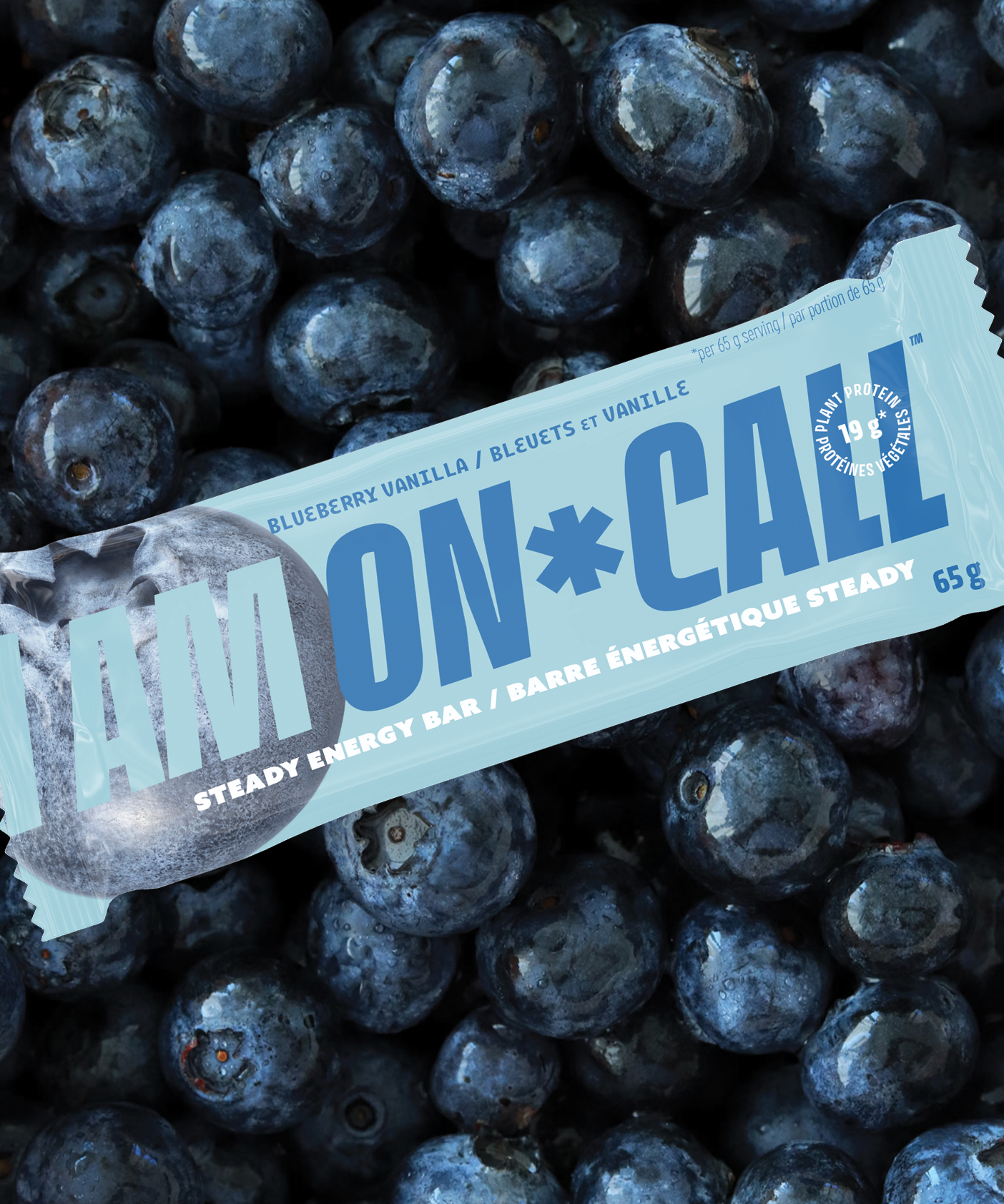 Blueberry Vanilla - 12 Pack